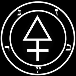 Meet your Posher, Noah